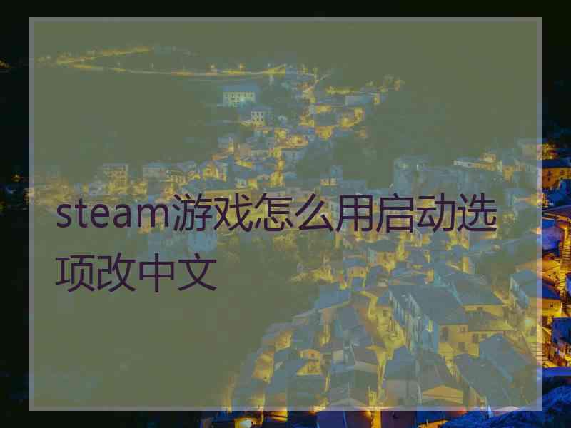 steam游戏怎么用启动选项改中文