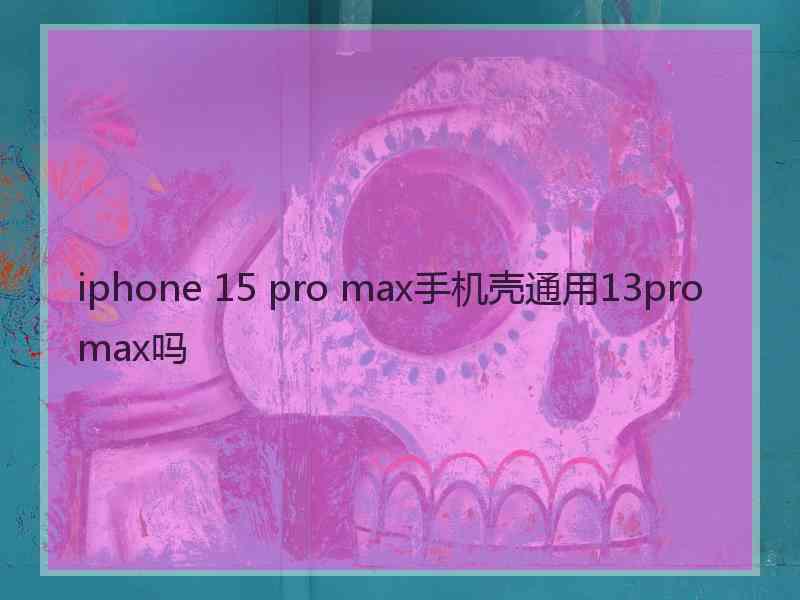 iphone 15 pro max手机壳通用13pro max吗