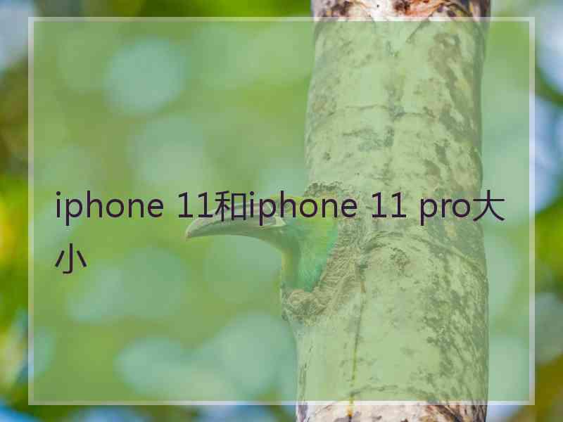 iphone 11和iphone 11 pro大小