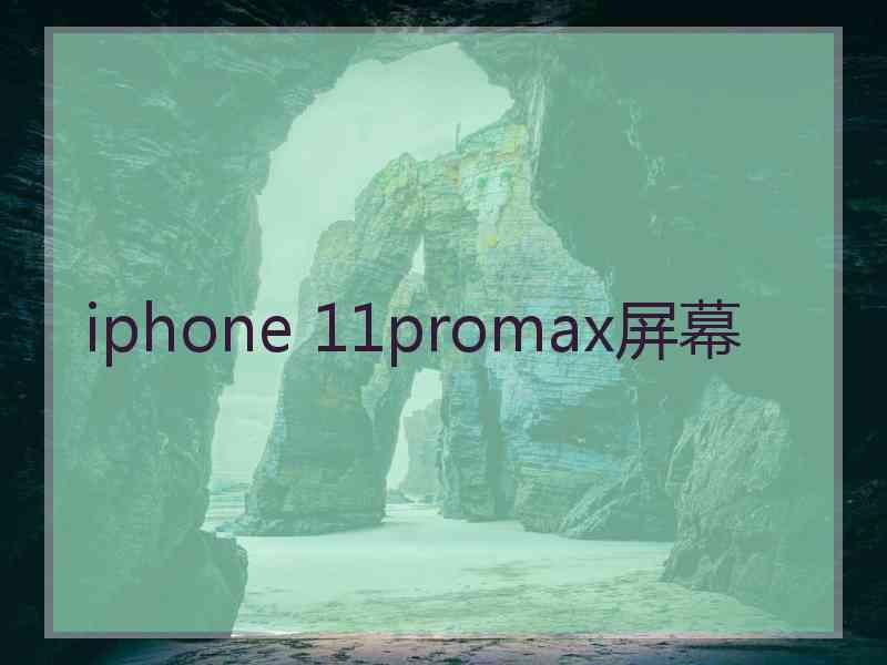 iphone 11promax屏幕