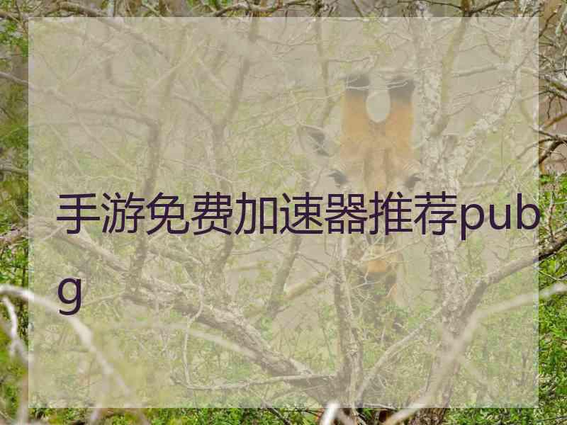 手游免费加速器推荐pubg