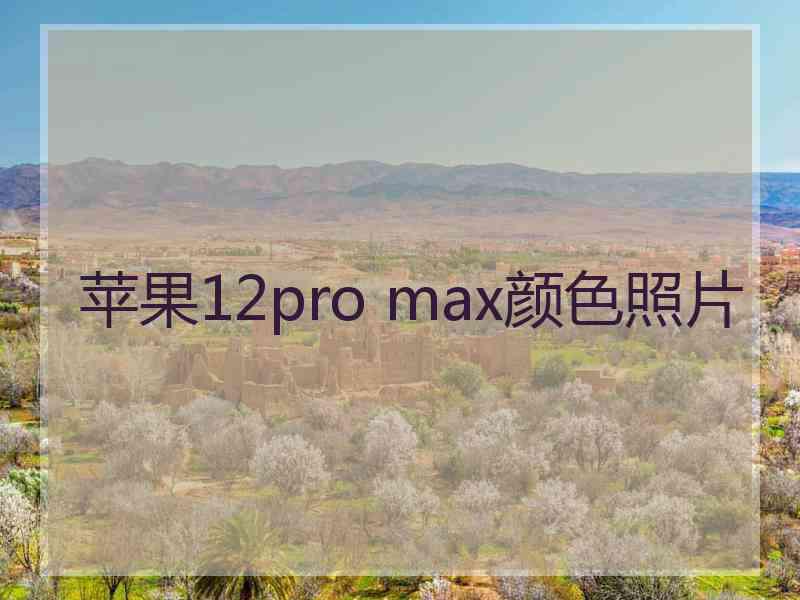 苹果12pro max颜色照片