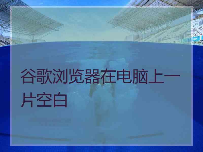 谷歌浏览器在电脑上一片空白