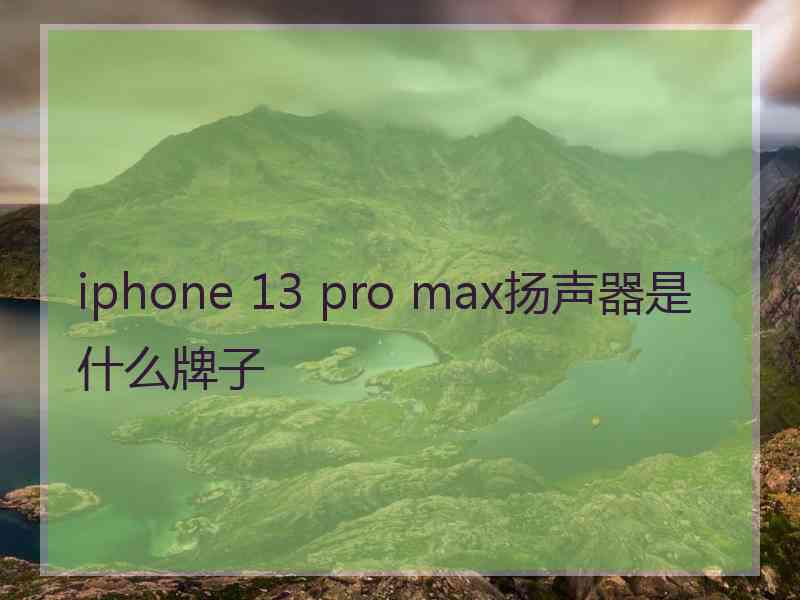 iphone 13 pro max扬声器是什么牌子