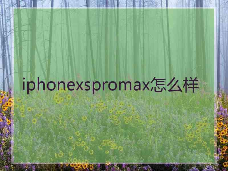 iphonexspromax怎么样