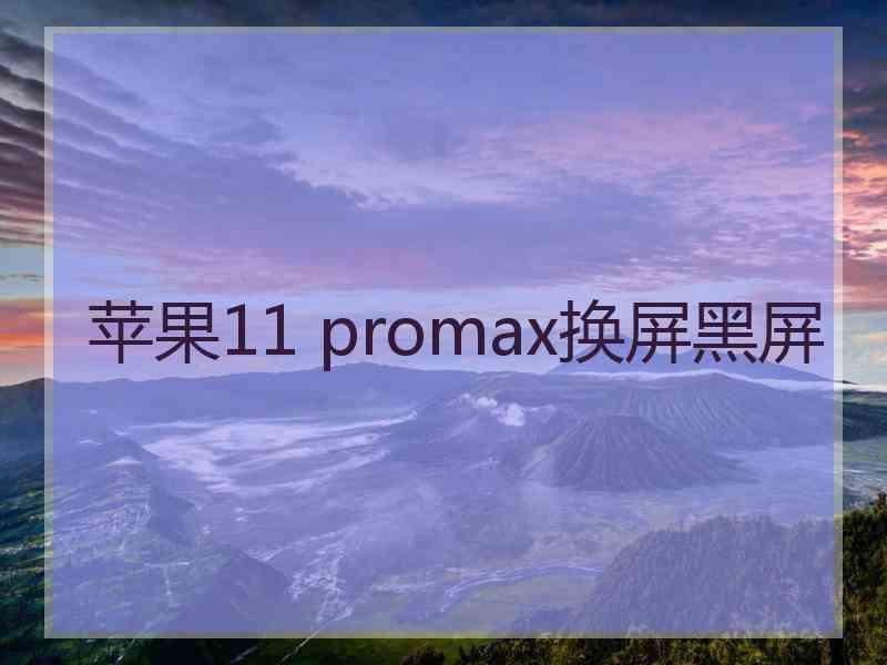 苹果11 promax换屏黑屏