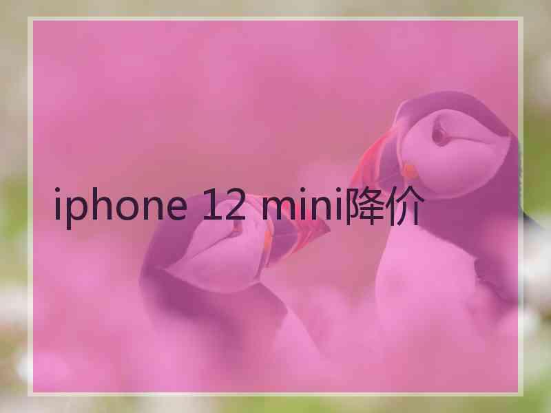 iphone 12 mini降价