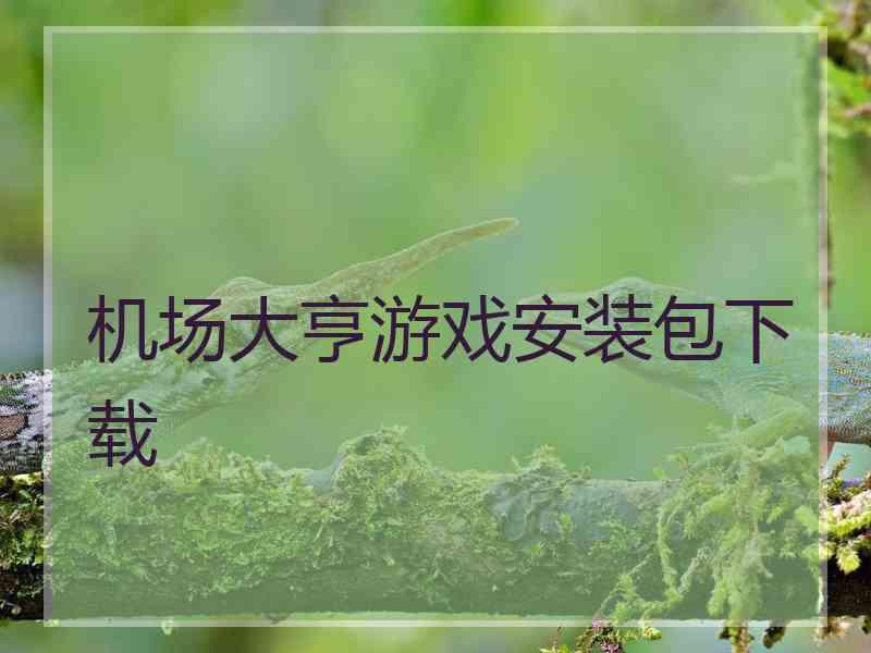 机场大亨游戏安装包下载