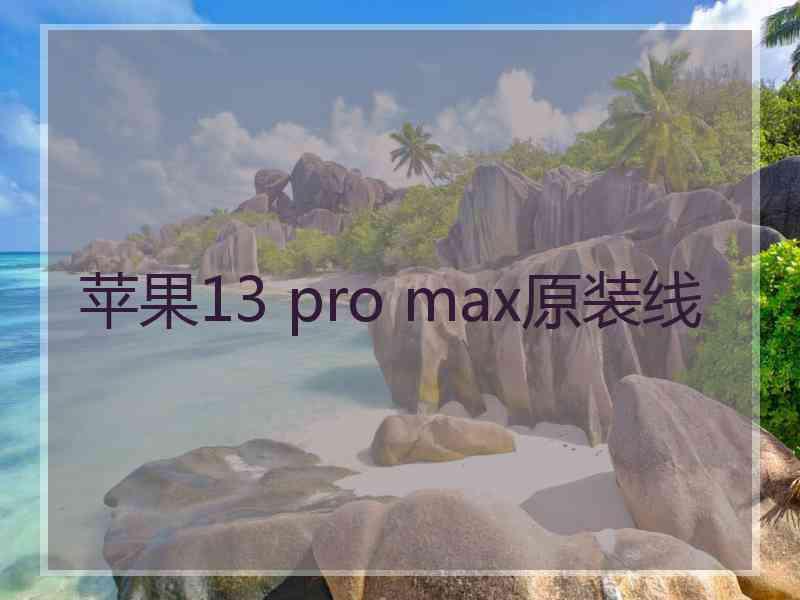 苹果13 pro max原装线