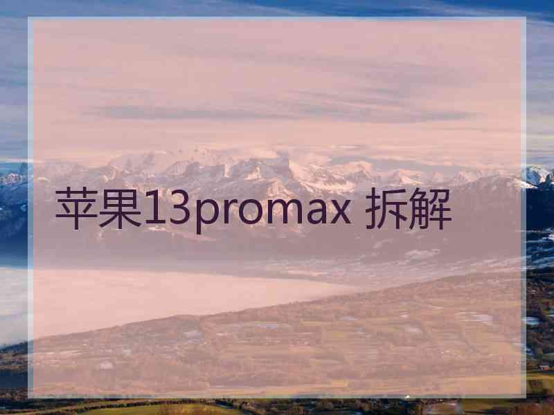 苹果13promax 拆解