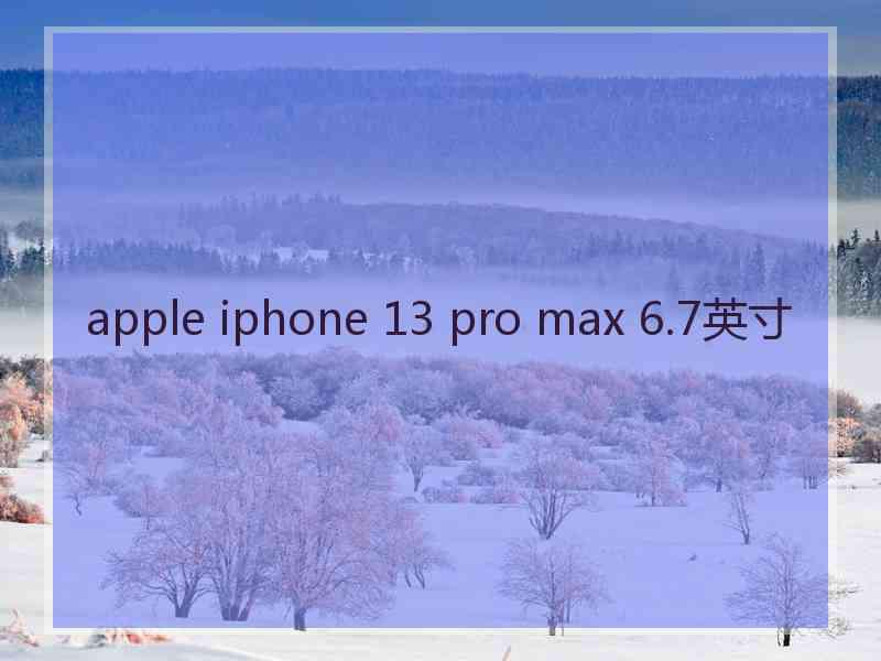 apple iphone 13 pro max 6.7英寸