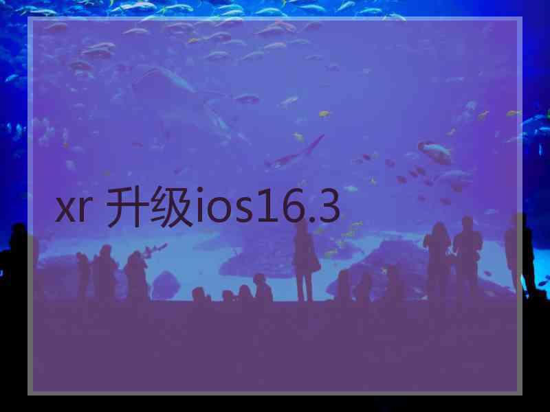 xr 升级ios16.3