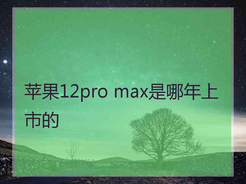 苹果12pro max是哪年上市的