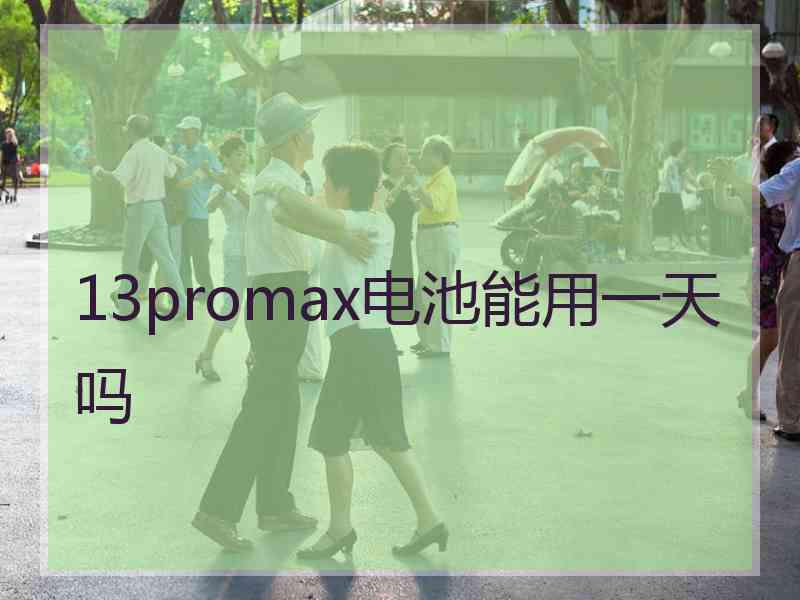 13promax电池能用一天吗