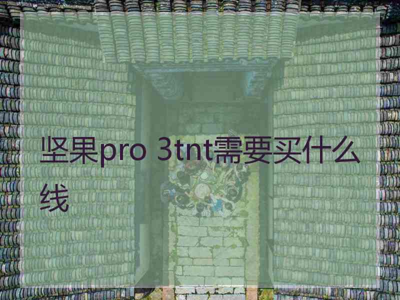 坚果pro 3tnt需要买什么线