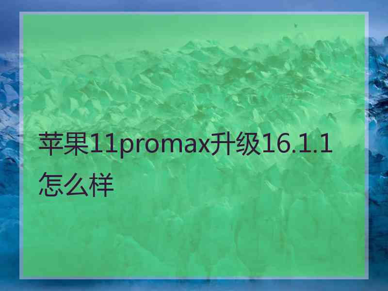 苹果11promax升级16.1.1怎么样