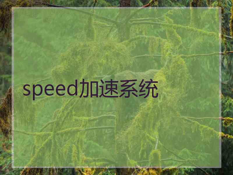 speed加速系统