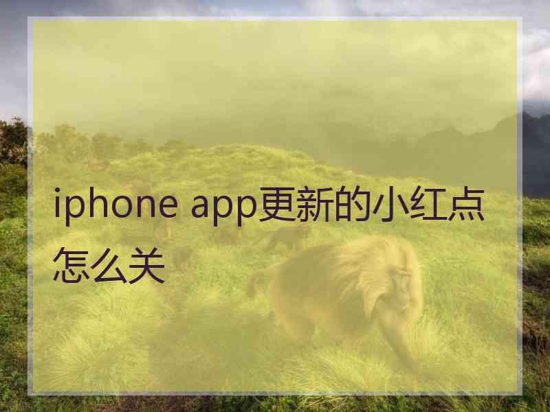 iphone app更新的小红点怎么关