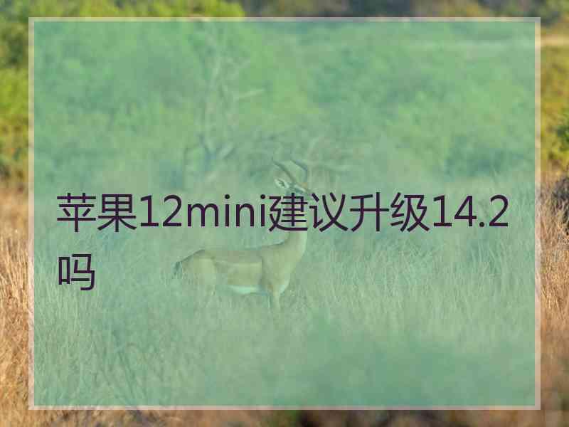 苹果12mini建议升级14.2吗