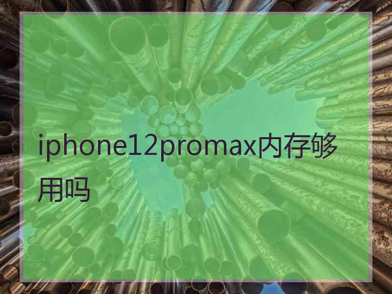 iphone12promax内存够用吗