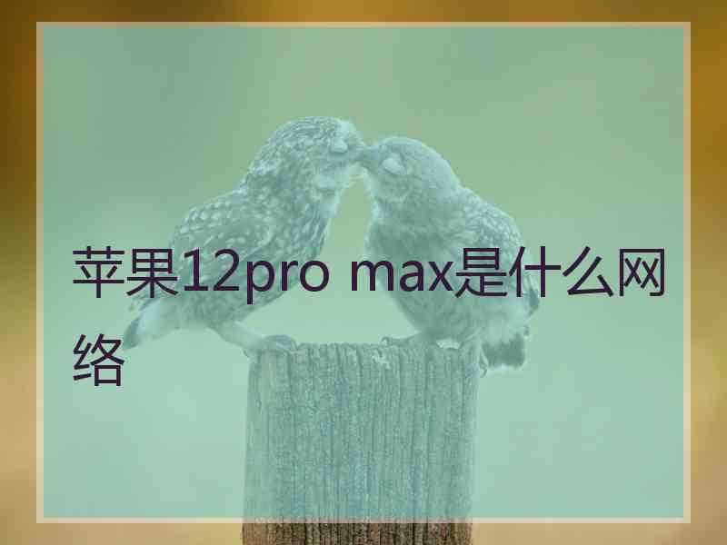 苹果12pro max是什么网络