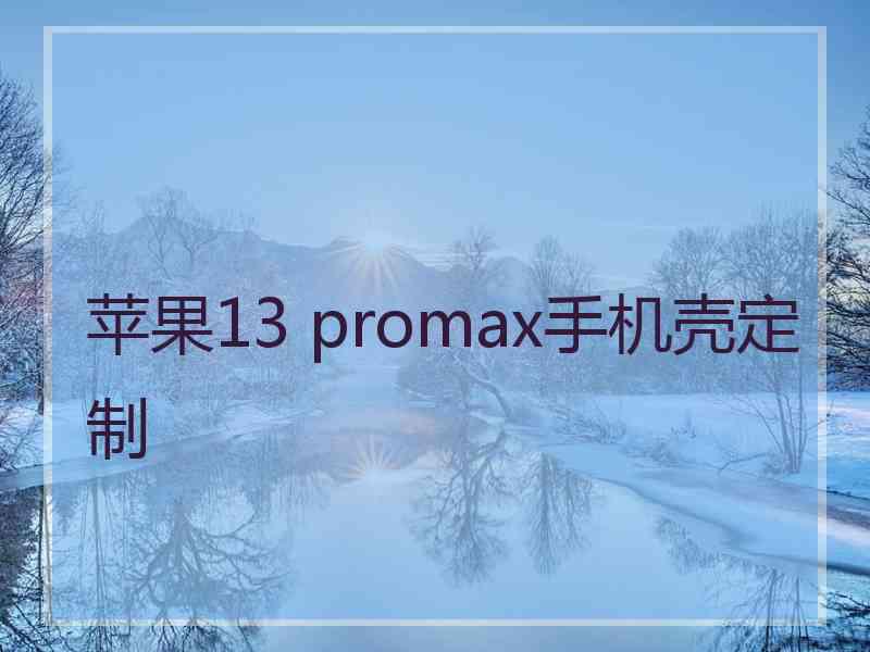 苹果13 promax手机壳定制