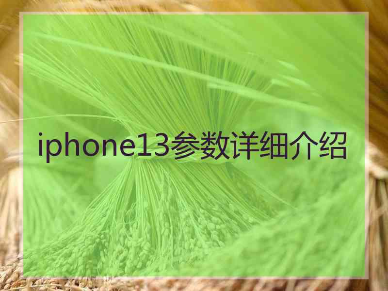 iphone13参数详细介绍