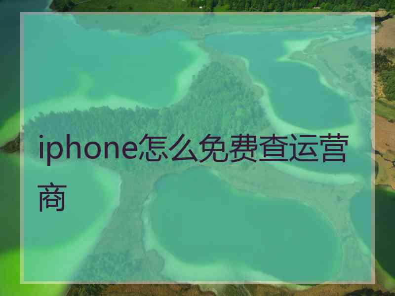 iphone怎么免费查运营商