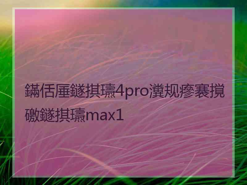 鏋佸厜鐩掑瓙4pro瀵规瘮褰撹礉鐩掑瓙max1