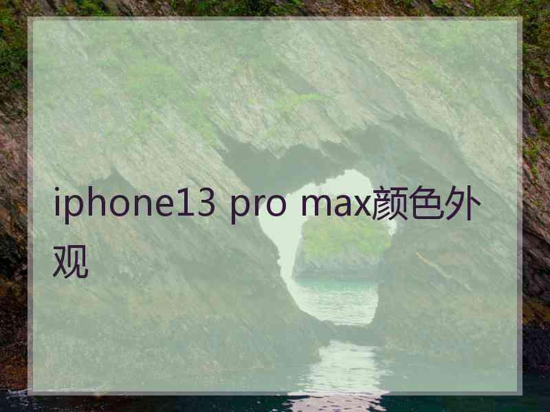 iphone13 pro max颜色外观