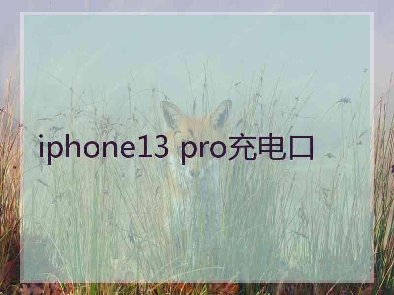 iphone13 pro充电口