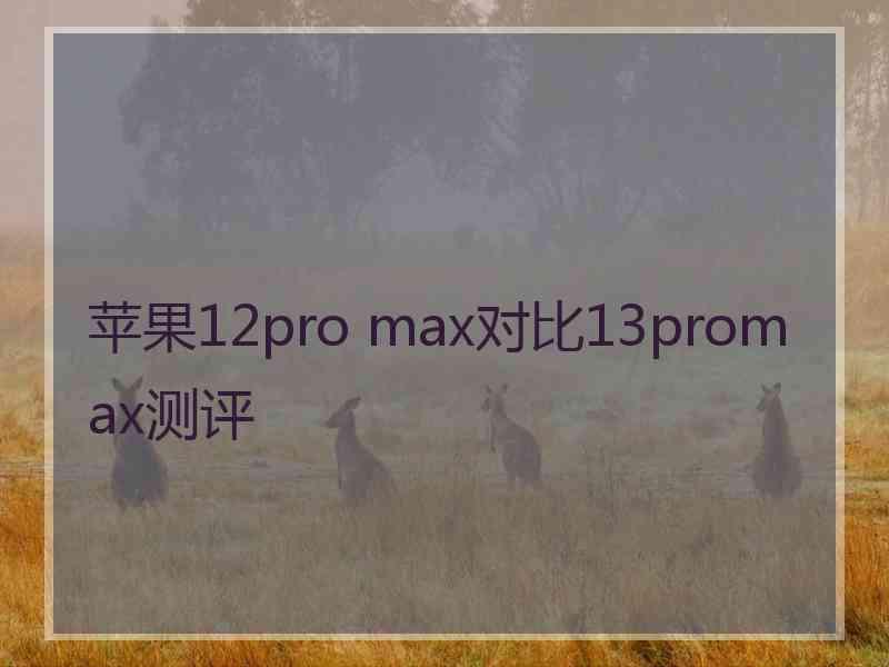 苹果12pro max对比13promax测评