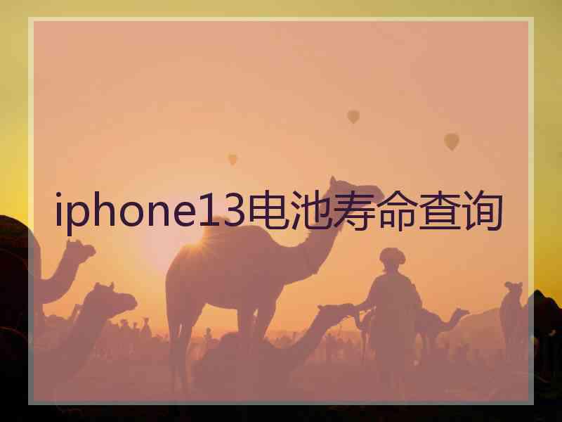 iphone13电池寿命查询