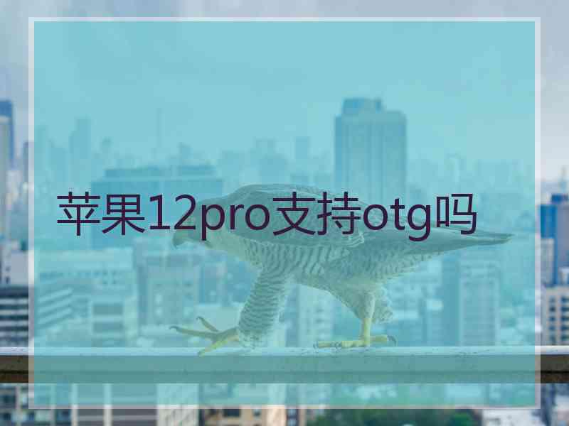 苹果12pro支持otg吗