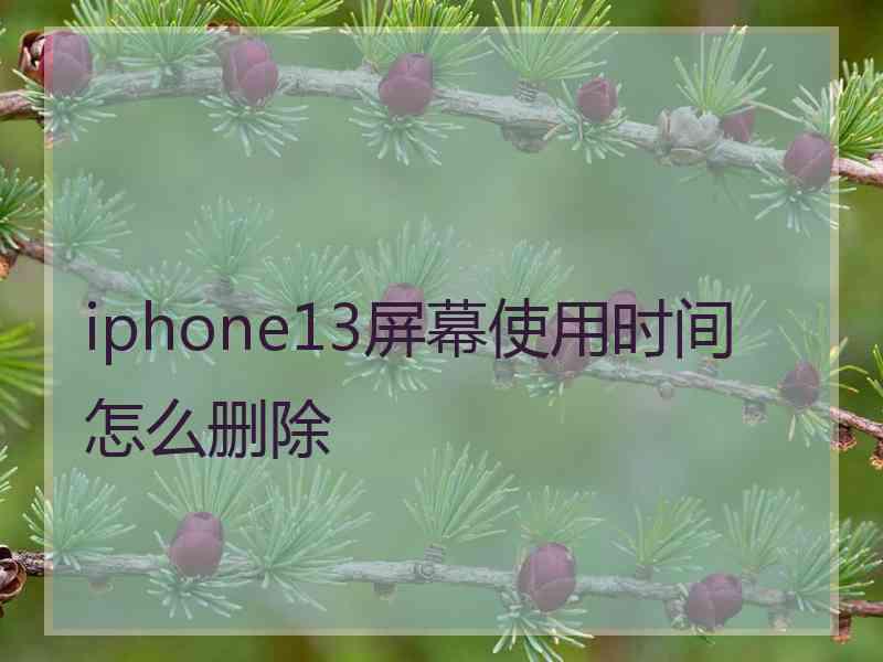 iphone13屏幕使用时间怎么删除