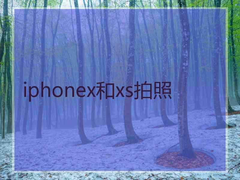 iphonex和xs拍照