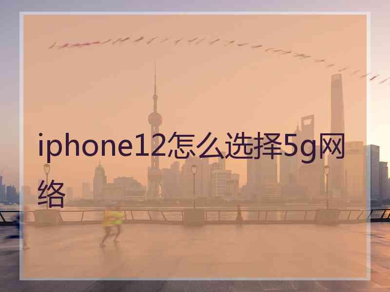 iphone12怎么选择5g网络