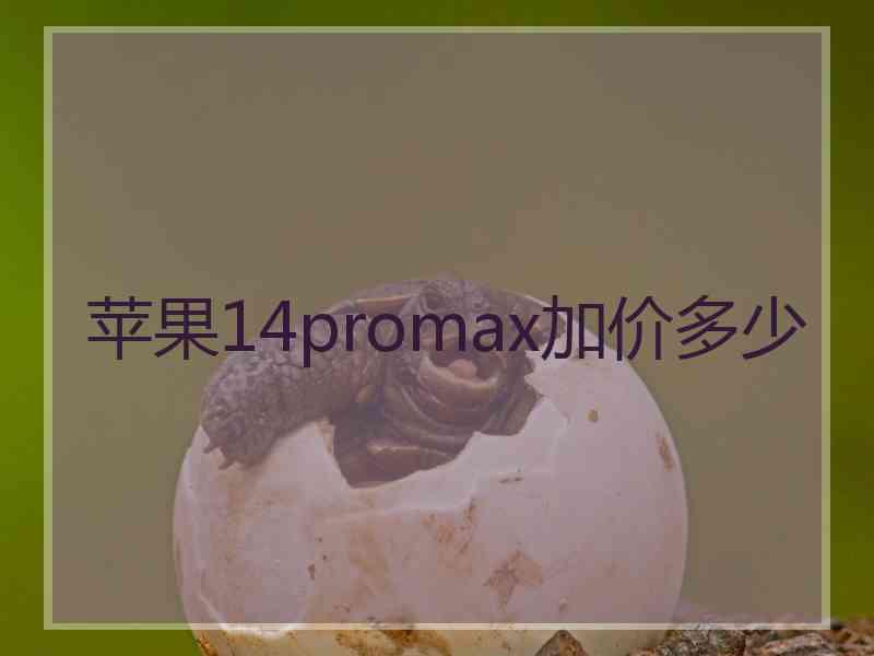 苹果14promax加价多少