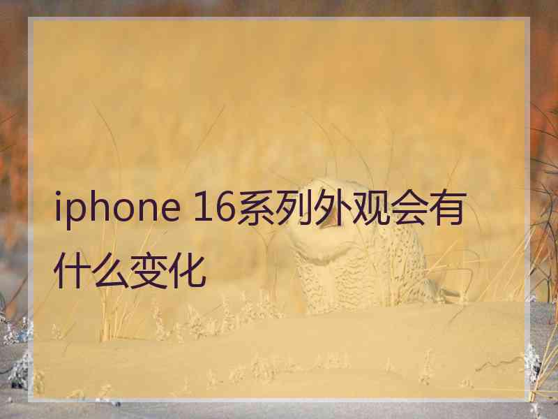 iphone 16系列外观会有什么变化