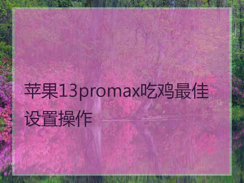 苹果13promax吃鸡最佳设置操作