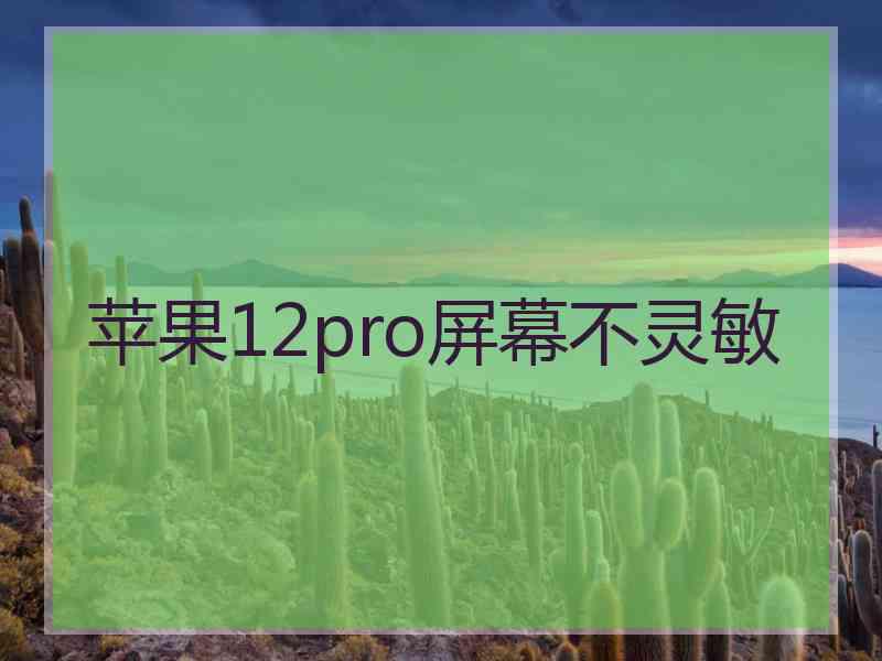 苹果12pro屏幕不灵敏