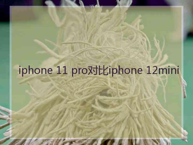 iphone 11 pro对比iphone 12mini