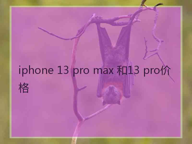 iphone 13 pro max 和13 pro价格