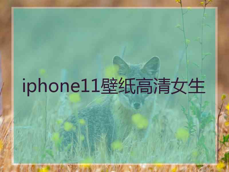 iphone11壁纸高清女生