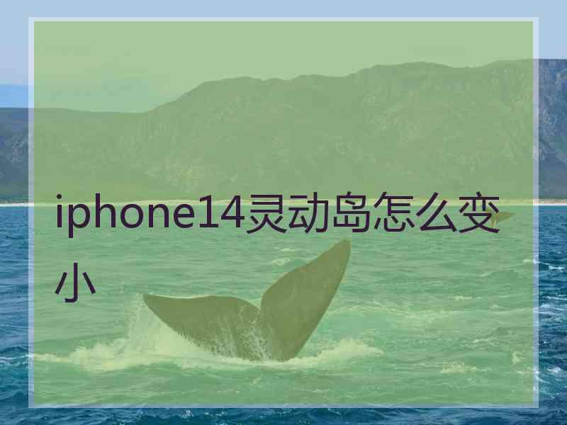 iphone14灵动岛怎么变小