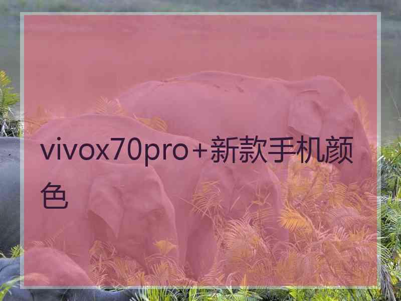 vivox70pro+新款手机颜色