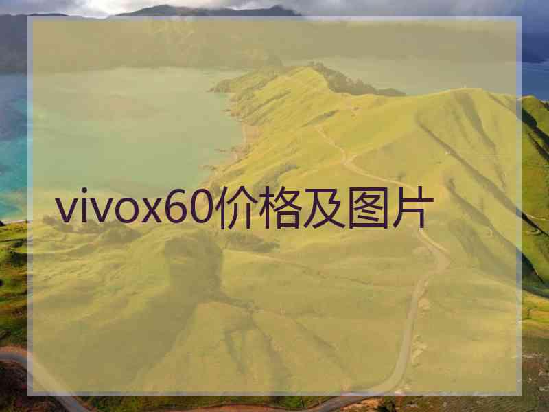 vivox60价格及图片