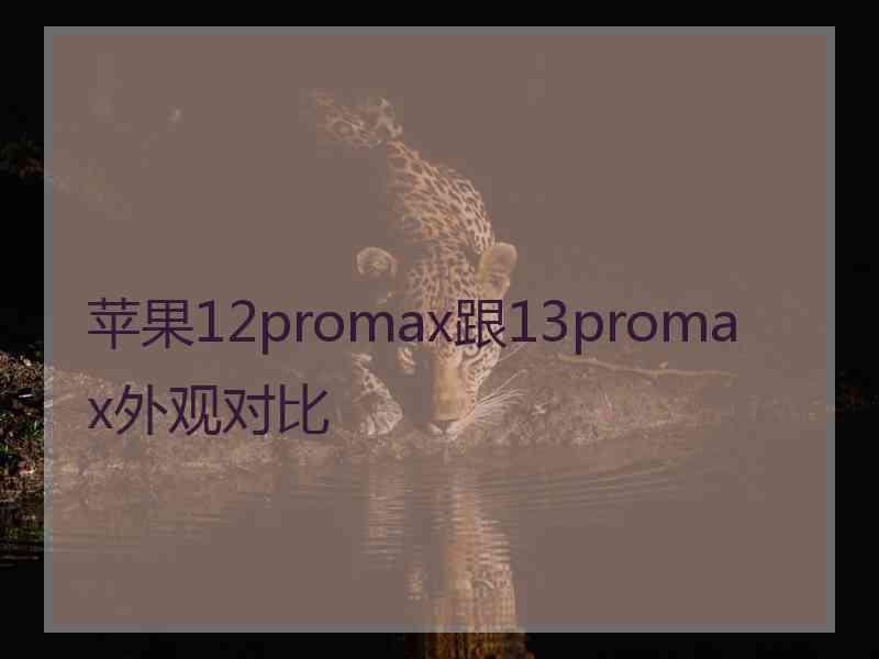 苹果12promax跟13promax外观对比