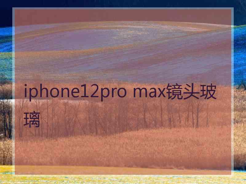 iphone12pro max镜头玻璃