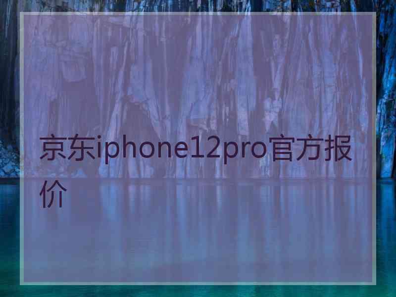 京东iphone12pro官方报价